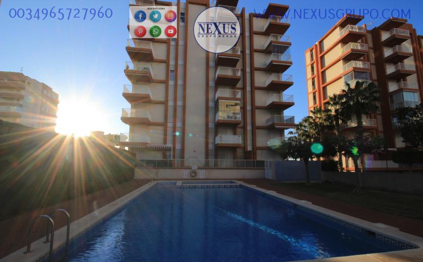 REAL ESTATE, GRUPO NEXUS, RENT APARTMENT FOR THE WHOLE YEAR AVENIDA DEL PUERTO in Nexus Grupo