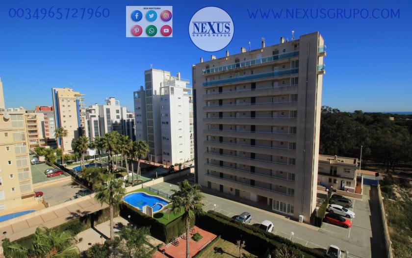 REAL ESTATE, GRUPO NEXUS, RENT APARTMENT FOR THE WHOLE YEAR AVENIDA DEL PUERTO in Nexus Grupo