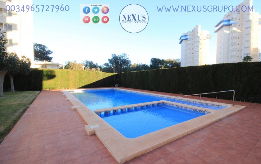 REAL ESTATE, GRUPO NEXUS, RENT APARTMENT FOR THE WHOLE YEAR AVENIDA DEL PUERTO in Nexus Grupo