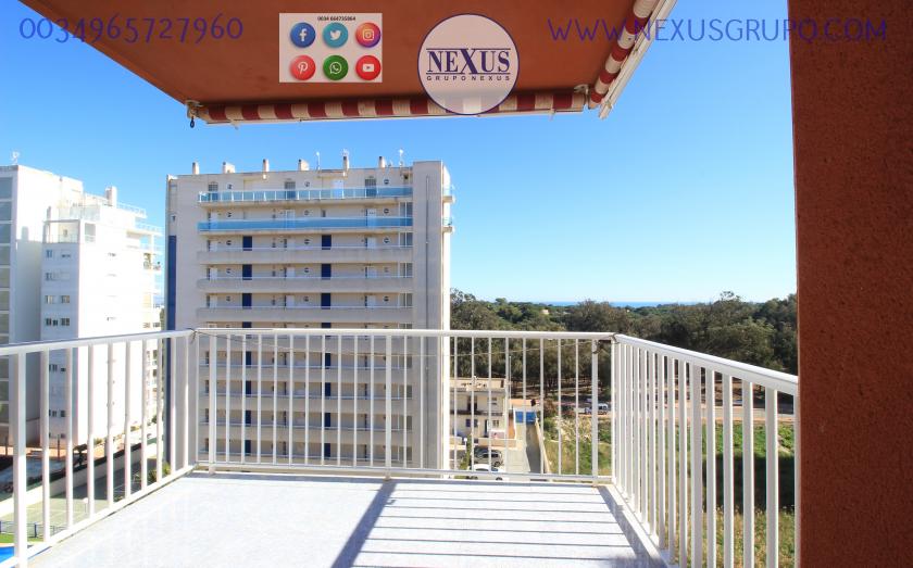 REAL ESTATE, GRUPO NEXUS, RENT APARTMENT FOR THE WHOLE YEAR AVENIDA DEL PUERTO in Nexus Grupo