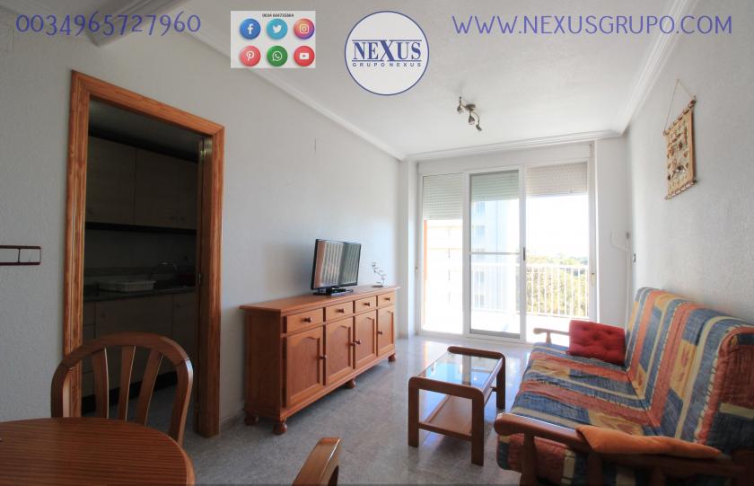 REAL ESTATE, GRUPO NEXUS, RENT APARTMENT FOR THE WHOLE YEAR AVENIDA DEL PUERTO in Nexus Grupo