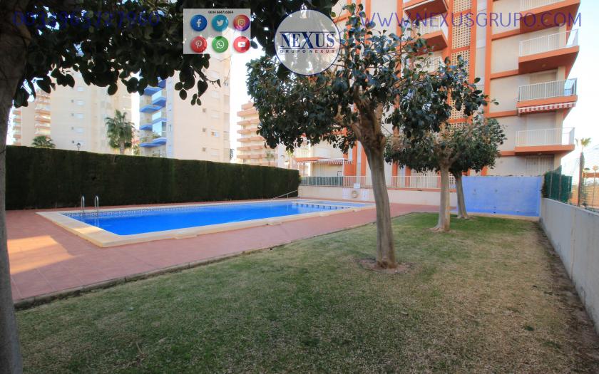 REAL ESTATE, GRUPO NEXUS, RENT APARTMENT FOR THE WHOLE YEAR AVENIDA DEL PUERTO in Nexus Grupo