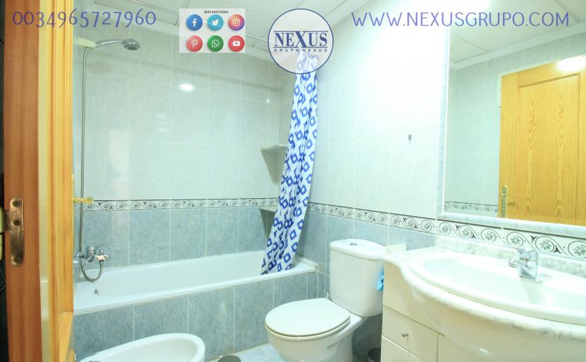 REAL ESTATE, GRUPO NEXUS, RENT APARTMENT FOR THE WHOLE YEAR AVENIDA DEL PUERTO in Nexus Grupo