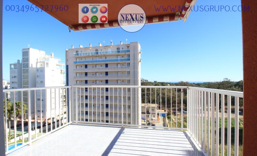 REAL ESTATE, GRUPO NEXUS, RENT APARTMENT FOR THE WHOLE YEAR AVENIDA DEL PUERTO in Nexus Grupo