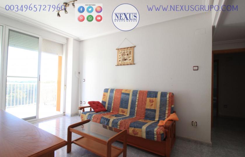 REAL ESTATE, GRUPO NEXUS, RENT APARTMENT FOR THE WHOLE YEAR AVENIDA DEL PUERTO in Nexus Grupo