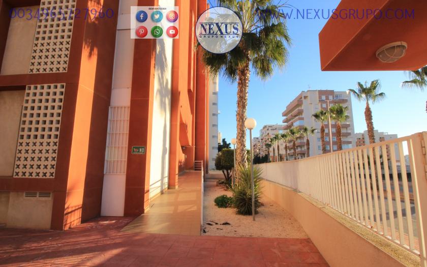 REAL ESTATE, GRUPO NEXUS, RENT APARTMENT FOR THE WHOLE YEAR AVENIDA DEL PUERTO in Nexus Grupo