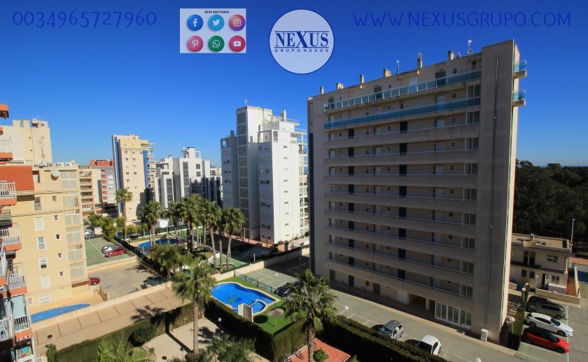 REAL ESTATE, GRUPO NEXUS, RENT APARTMENT FOR THE WHOLE YEAR AVENIDA DEL PUERTO in Nexus Grupo