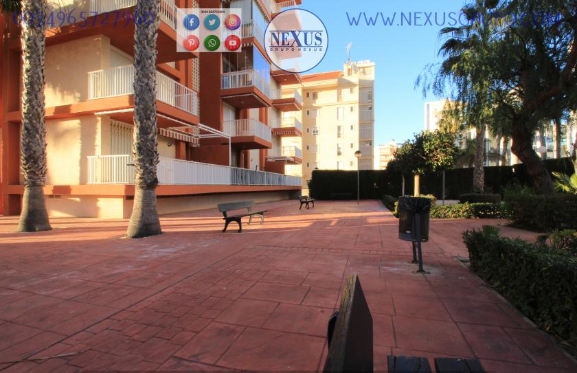 REAL ESTATE, GRUPO NEXUS, RENT APARTMENT FOR THE WHOLE YEAR AVENIDA DEL PUERTO in Nexus Grupo