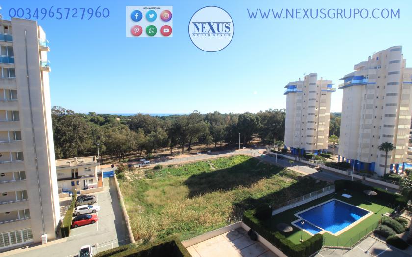 REAL ESTATE, GRUPO NEXUS, RENT APARTMENT FOR THE WHOLE YEAR AVENIDA DEL PUERTO in Nexus Grupo