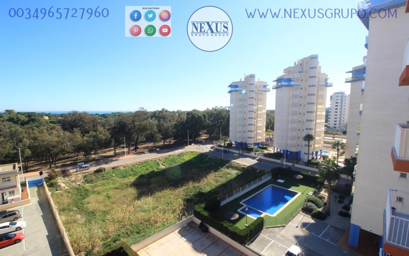 INMOBILIARIA, GRUPO NEXUS, ALQUILA PISO PARA TODO EL AÑO AVENIDA DEL PUERTO in Nexus Grupo