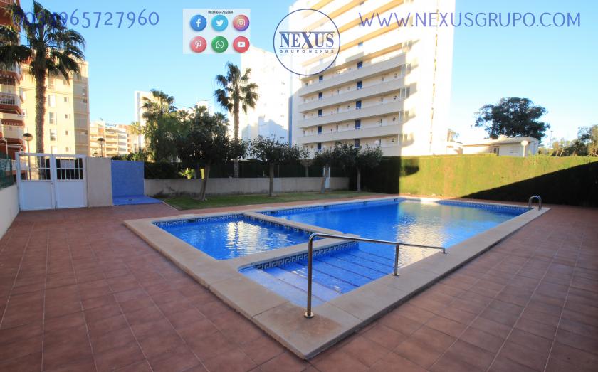 REAL ESTATE, GRUPO NEXUS, RENT APARTMENT FOR THE WHOLE YEAR AVENIDA DEL PUERTO in Nexus Grupo