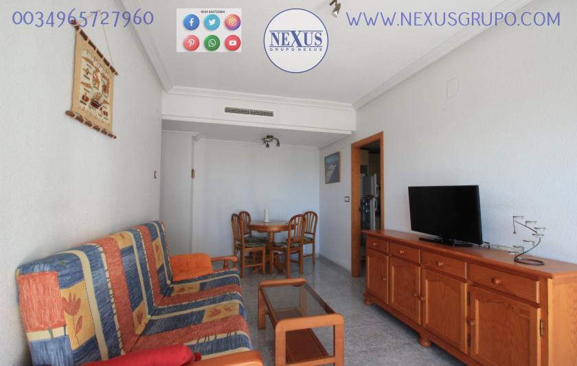 REAL ESTATE, GRUPO NEXUS, RENT APARTMENT FOR THE WHOLE YEAR AVENIDA DEL PUERTO in Nexus Grupo