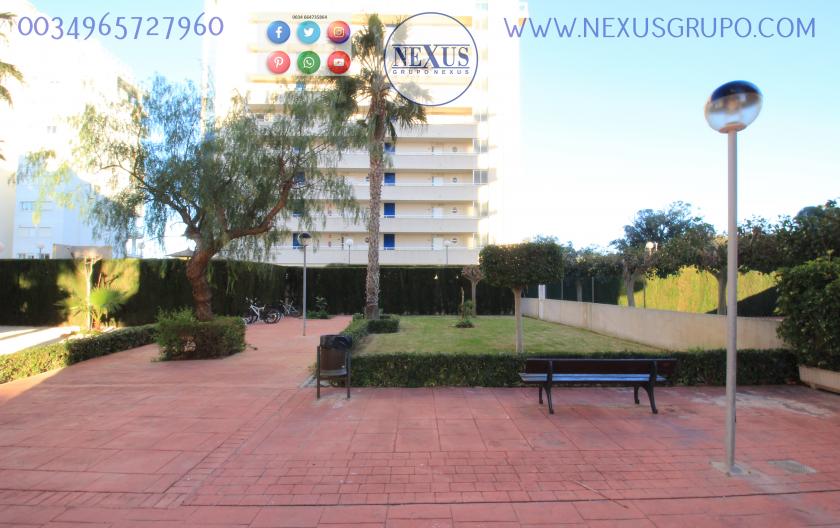 REAL ESTATE, GRUPO NEXUS, RENT APARTMENT FOR THE WHOLE YEAR AVENIDA DEL PUERTO in Nexus Grupo