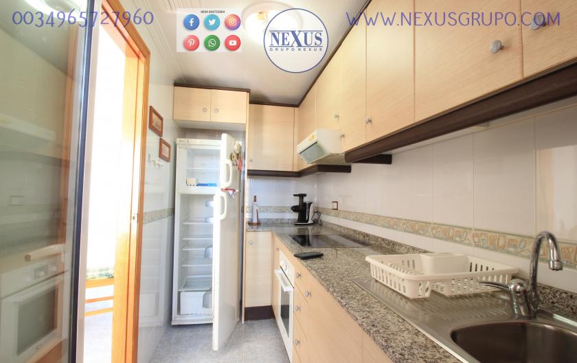 REAL ESTATE, GRUPO NEXUS, RENT APARTMENT FOR THE WHOLE YEAR AVENIDA DEL PUERTO in Nexus Grupo