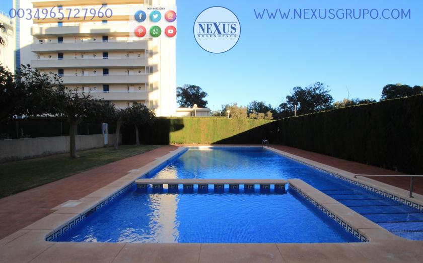 REAL ESTATE, GRUPO NEXUS, RENT APARTMENT FOR THE WHOLE YEAR AVENIDA DEL PUERTO in Nexus Grupo