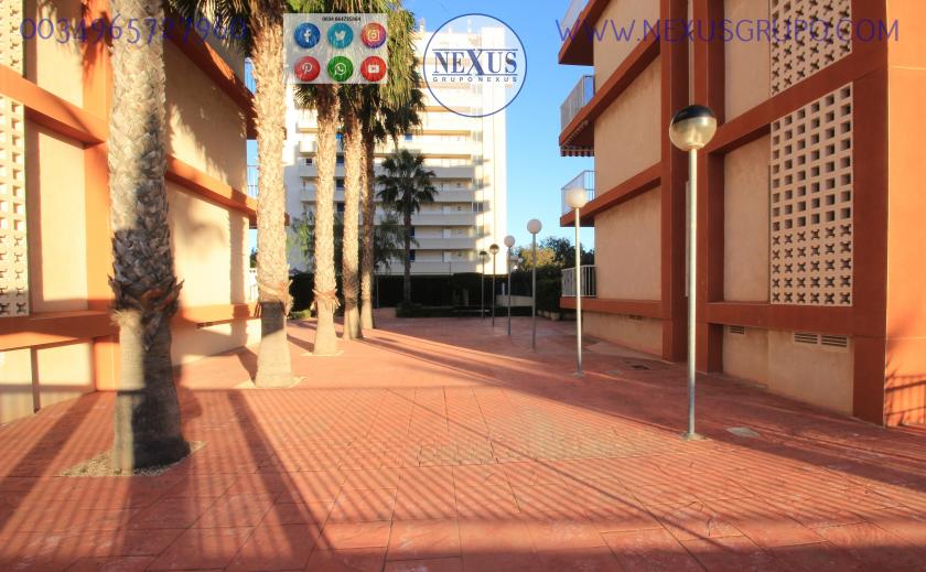 REAL ESTATE, GRUPO NEXUS, RENT APARTMENT FOR THE WHOLE YEAR AVENIDA DEL PUERTO in Nexus Grupo