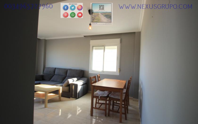 REAL ESTATE, GRUPO NEXUS, RENT APARTMENT FOR THE WHOLE YEAR in Nexus Grupo