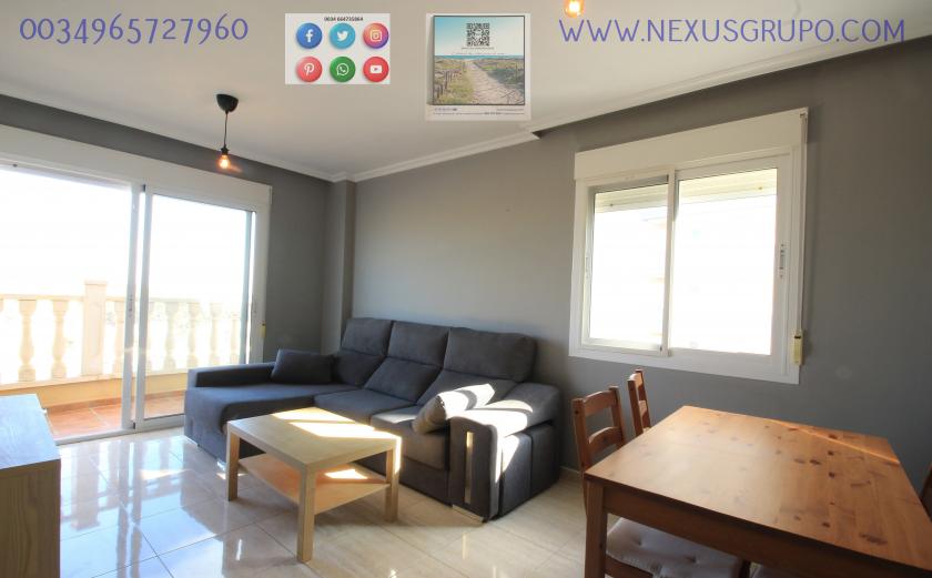 REAL ESTATE, GRUPO NEXUS, RENT APARTMENT FOR THE WHOLE YEAR in Nexus Grupo