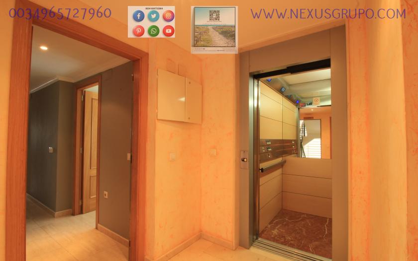 REAL ESTATE, GRUPO NEXUS, RENT APARTMENT FOR THE WHOLE YEAR in Nexus Grupo