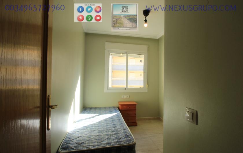 REAL ESTATE, GRUPO NEXUS, RENT APARTMENT FOR THE WHOLE YEAR in Nexus Grupo