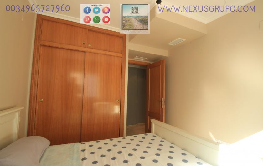 REAL ESTATE, GRUPO NEXUS, RENT APARTMENT FOR THE WHOLE YEAR in Nexus Grupo