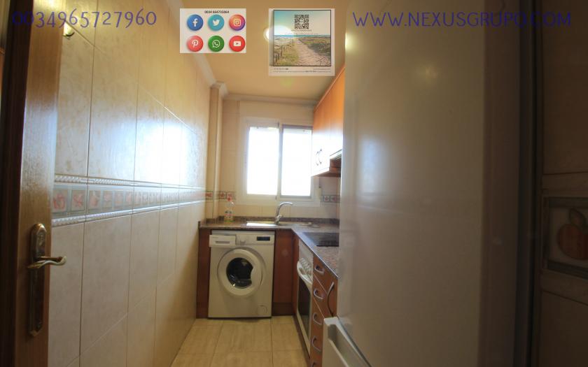 REAL ESTATE, GRUPO NEXUS, RENT APARTMENT FOR THE WHOLE YEAR in Nexus Grupo