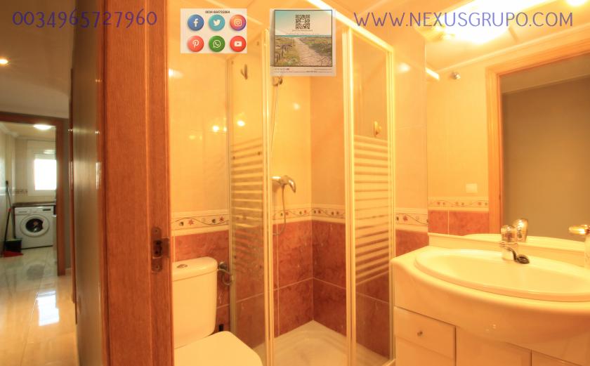 REAL ESTATE, GRUPO NEXUS, RENT APARTMENT FOR THE WHOLE YEAR in Nexus Grupo