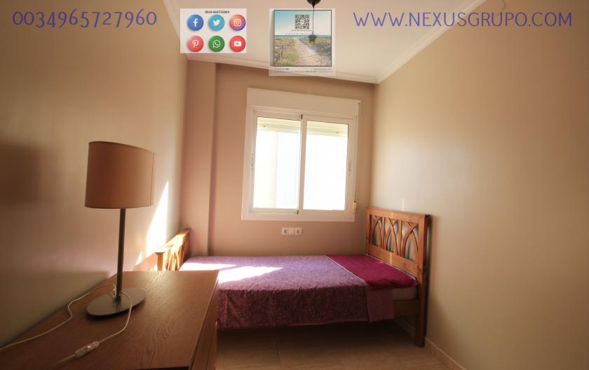 REAL ESTATE, GRUPO NEXUS, RENT APARTMENT FOR THE WHOLE YEAR in Nexus Grupo