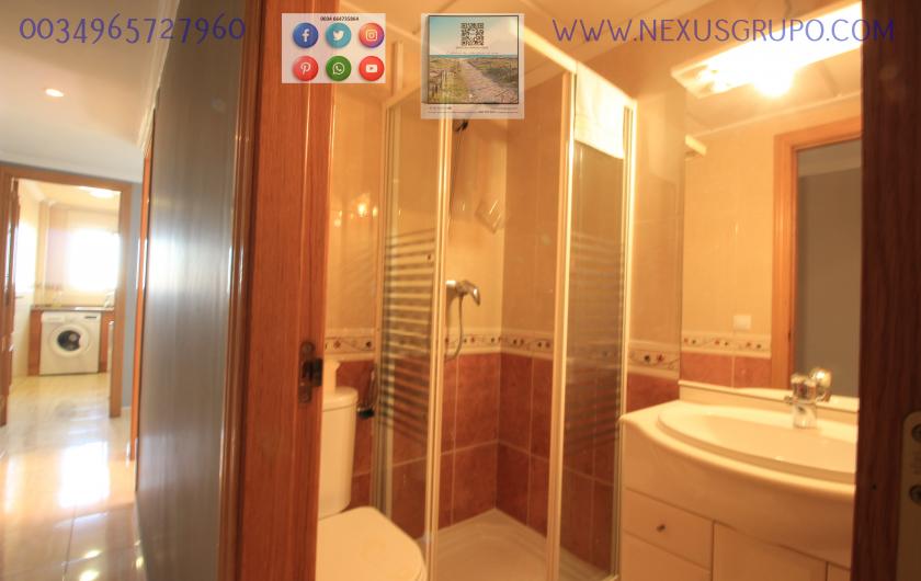 REAL ESTATE, GRUPO NEXUS, RENT APARTMENT FOR THE WHOLE YEAR in Nexus Grupo