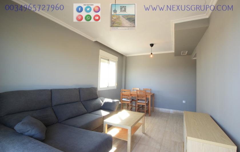 REAL ESTATE, GRUPO NEXUS, RENT APARTMENT FOR THE WHOLE YEAR in Nexus Grupo