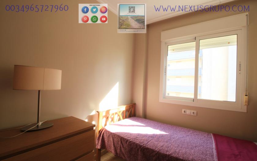 REAL ESTATE, GRUPO NEXUS, RENT APARTMENT FOR THE WHOLE YEAR in Nexus Grupo