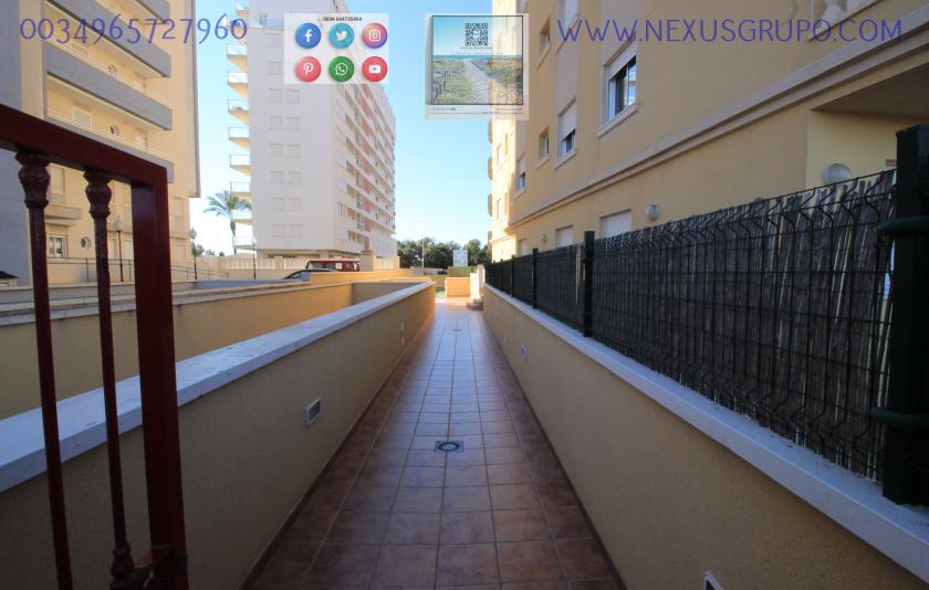 REAL ESTATE, GRUPO NEXUS, RENT APARTMENT FOR THE WHOLE YEAR in Nexus Grupo