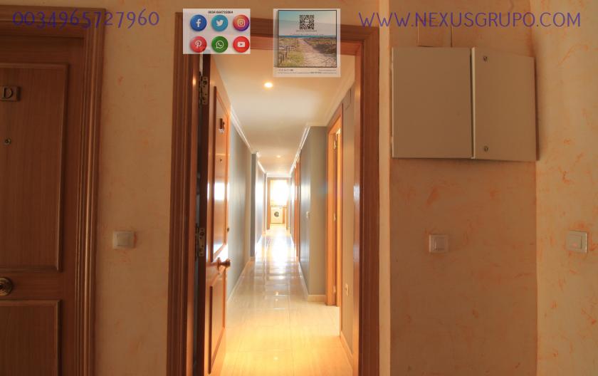 REAL ESTATE, GRUPO NEXUS, RENT APARTMENT FOR THE WHOLE YEAR in Nexus Grupo