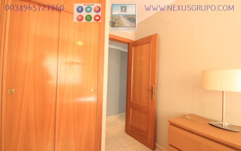 REAL ESTATE, GRUPO NEXUS, RENT APARTMENT FOR THE WHOLE YEAR in Nexus Grupo