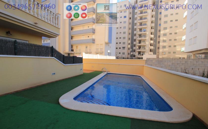 REAL ESTATE, GRUPO NEXUS, RENT APARTMENT FOR THE WHOLE YEAR in Nexus Grupo