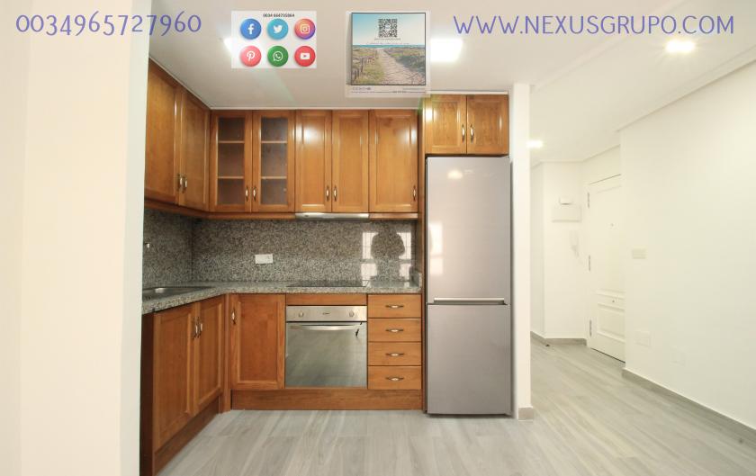 REAL ESTATE, GRUPO NEXUS RENT APARTMENT FOR THE WHOLE YEAR in Nexus Grupo