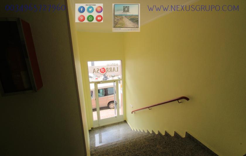 REAL ESTATE, GRUPO NEXUS RENT APARTMENT FOR THE WHOLE YEAR in Nexus Grupo