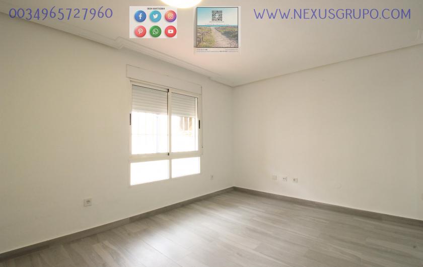 REAL ESTATE, GRUPO NEXUS RENT APARTMENT FOR THE WHOLE YEAR in Nexus Grupo