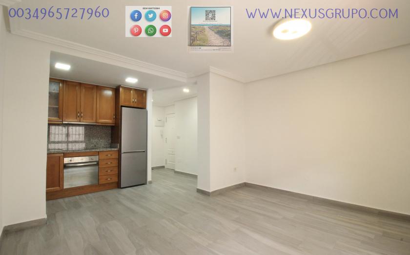 REAL ESTATE, GRUPO NEXUS RENT APARTMENT FOR THE WHOLE YEAR in Nexus Grupo