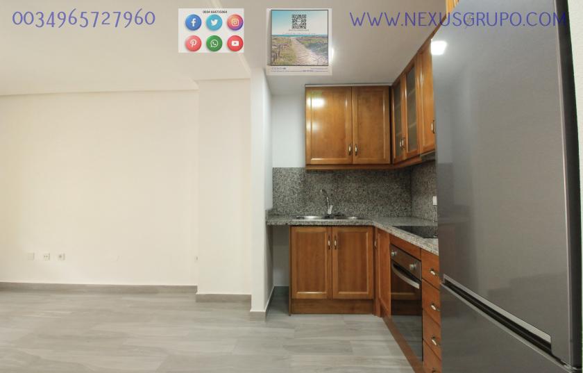 REAL ESTATE, GRUPO NEXUS RENT APARTMENT FOR THE WHOLE YEAR in Nexus Grupo