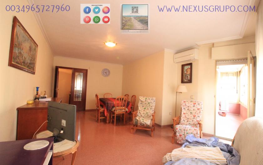 REAL ESTATE, GRUPO NEXUS, RENT APARTMENT FOR THE WHOLE YEAR in Nexus Grupo