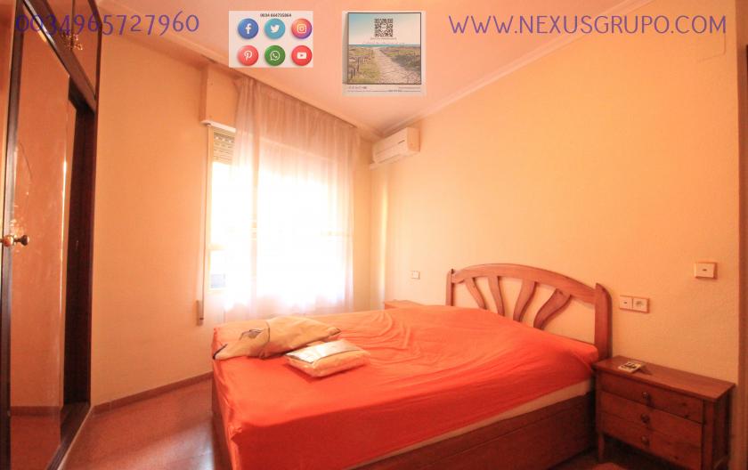 REAL ESTATE, GRUPO NEXUS, RENT APARTMENT FOR THE WHOLE YEAR in Nexus Grupo