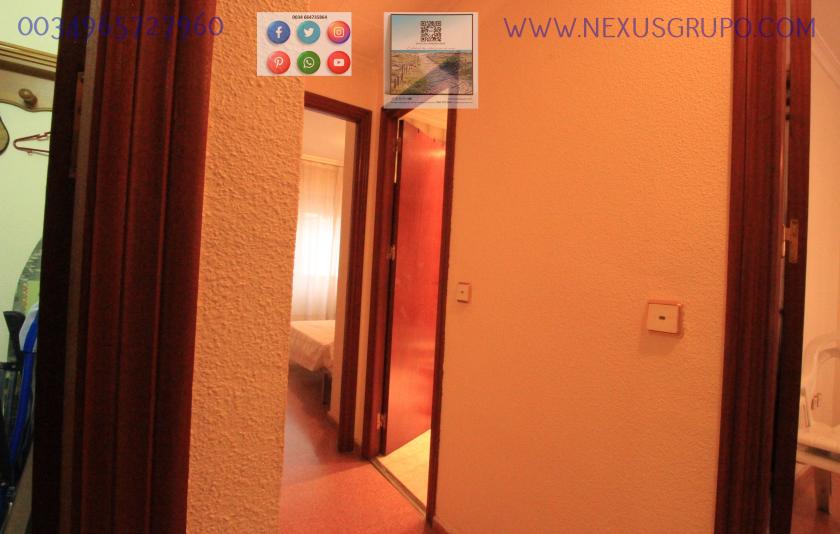 REAL ESTATE, GRUPO NEXUS, RENT APARTMENT FOR THE WHOLE YEAR in Nexus Grupo