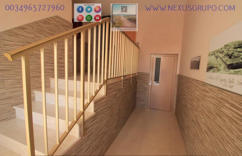 REAL ESTATE, GRUPO NEXUS, RENT APARTMENT FOR THE WHOLE YEAR in Nexus Grupo