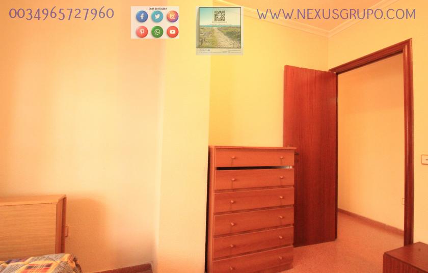 REAL ESTATE, GRUPO NEXUS, RENT APARTMENT FOR THE WHOLE YEAR in Nexus Grupo