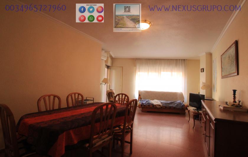 REAL ESTATE, GRUPO NEXUS, RENT APARTMENT FOR THE WHOLE YEAR in Nexus Grupo