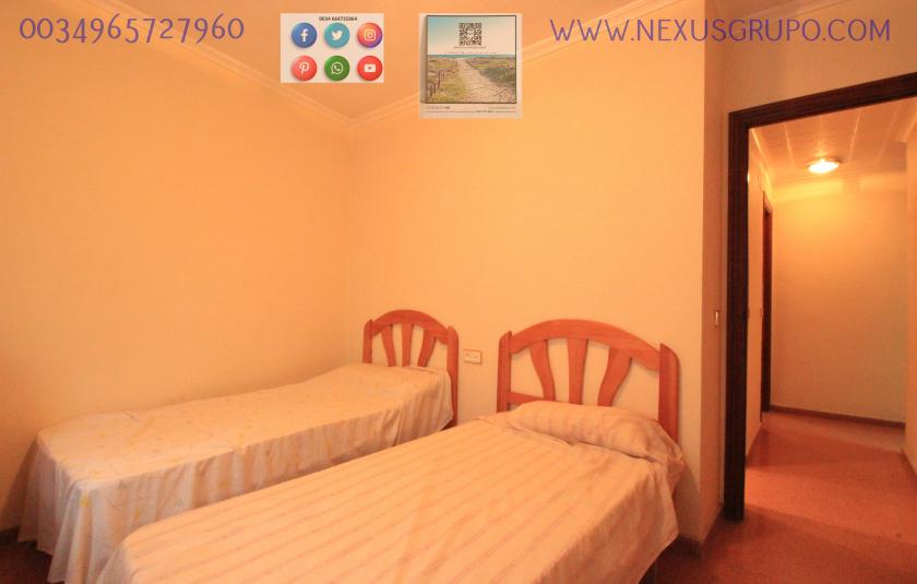 REAL ESTATE, GRUPO NEXUS, RENT APARTMENT FOR THE WHOLE YEAR in Nexus Grupo