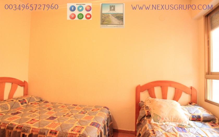 REAL ESTATE, GRUPO NEXUS, RENT APARTMENT FOR THE WHOLE YEAR in Nexus Grupo