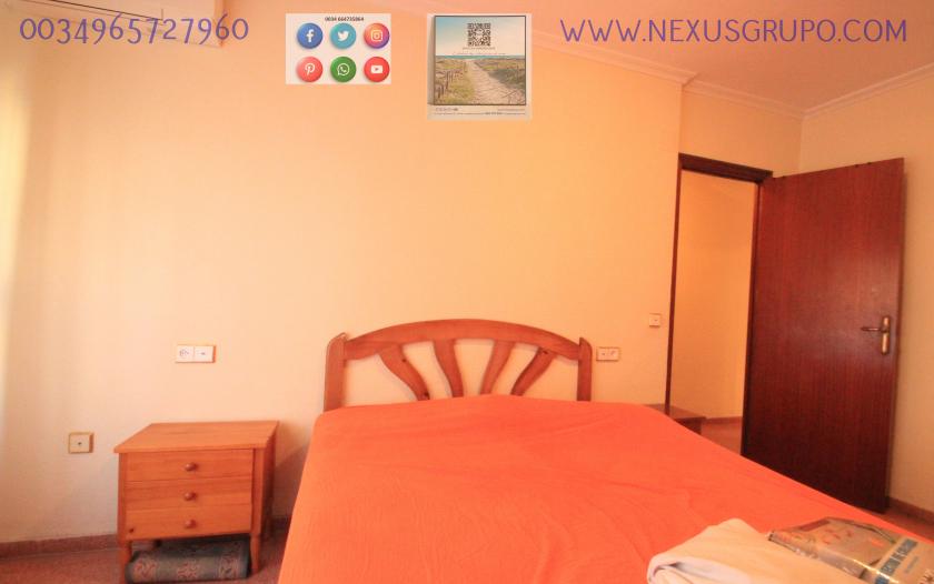 REAL ESTATE, GRUPO NEXUS, RENT APARTMENT FOR THE WHOLE YEAR in Nexus Grupo