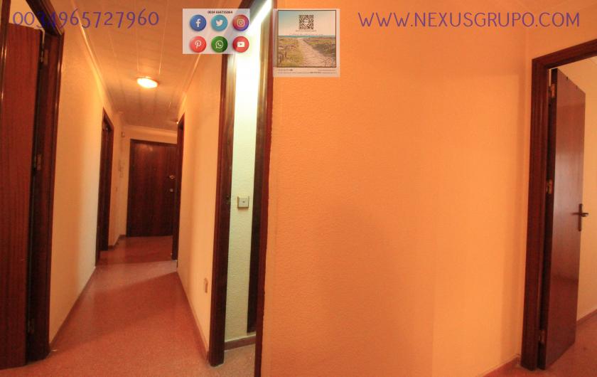 REAL ESTATE, GRUPO NEXUS, RENT APARTMENT FOR THE WHOLE YEAR in Nexus Grupo